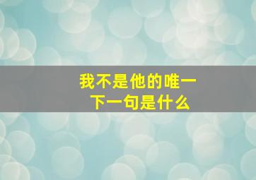 我不是他的唯一 下一句是什么